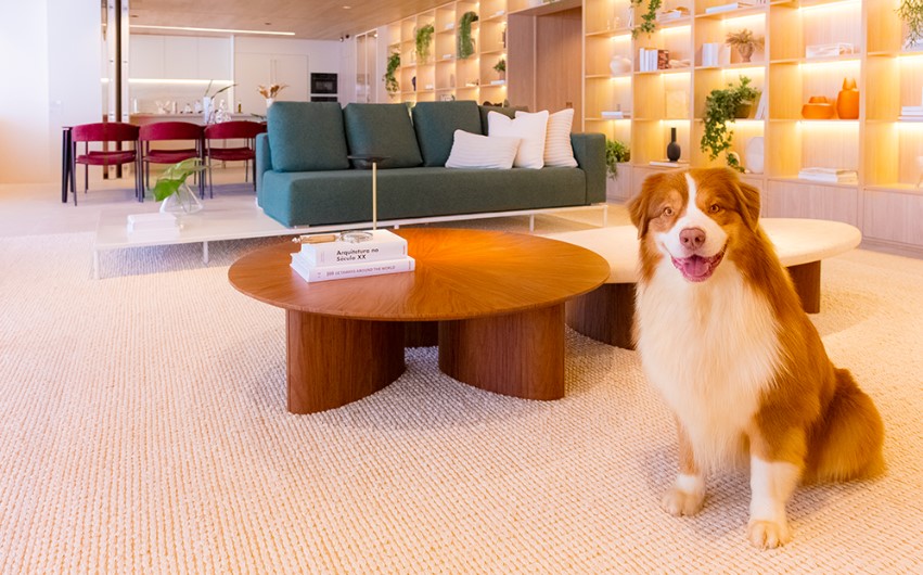 ensaio-pet-decorado.jpg